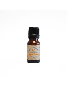 Aceite Esencia Mango Concentrada