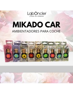 AMBIENTADOR COCHE LABONCLER