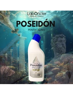 POSEIDON GEL DESINCRUSTANTE PARA WC Y MAS…